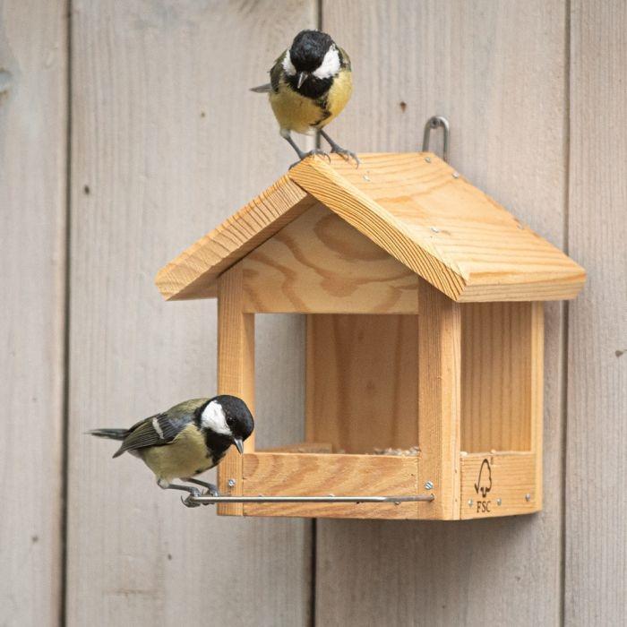 Mangeoire à oiseaux, mangeoire à oiseaux en plein air avec fenêtre