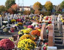 Cimetière des Couëts