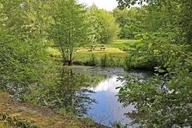 Etang de la Ville au Denis